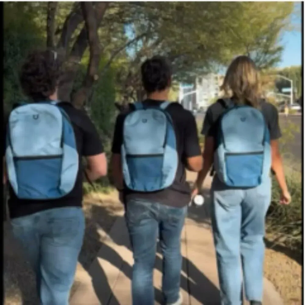 NEW BLUE FOX backpack excellent backpack to carry your electronics